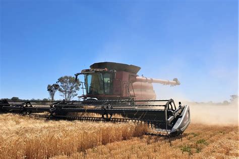 Australian Winter Crop Harvest Kicking Off With Mixed Results