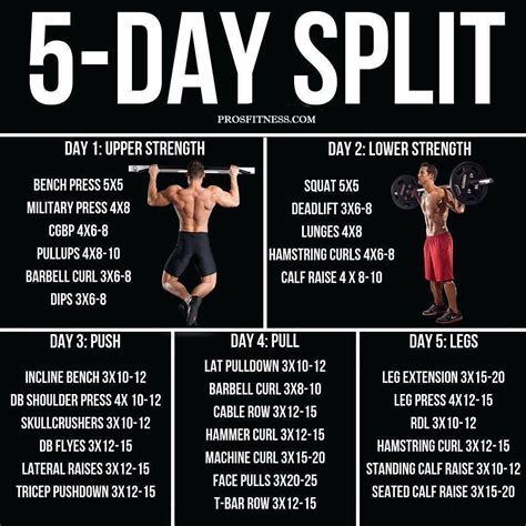 5 Day Split Workout Routine Strength Training Routine Push Pull Workout Best Workout Routine