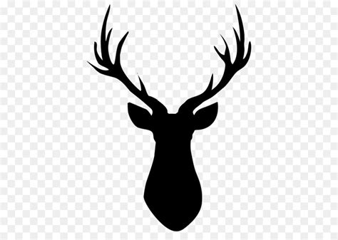 Stag Clip Art 10 Free Cliparts Download Images On Clipground 2024