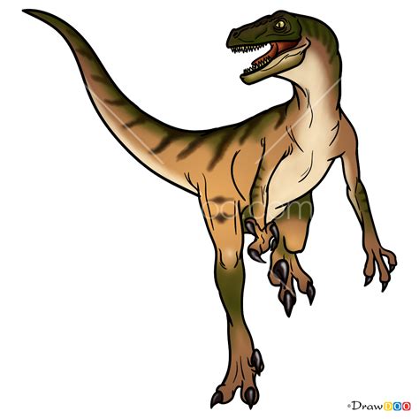 How To Draw Velociraptor Jurassic Dinosaurs