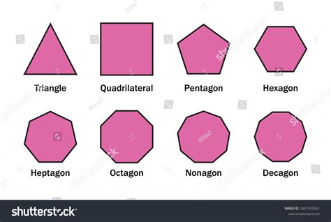 Types Polygon Mathematical Shapes Stock Vector Royalty Free 1847452561