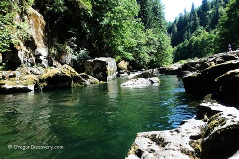 Scenic Fall Creek Corridor Willamette National Forest Oregon Discovery
