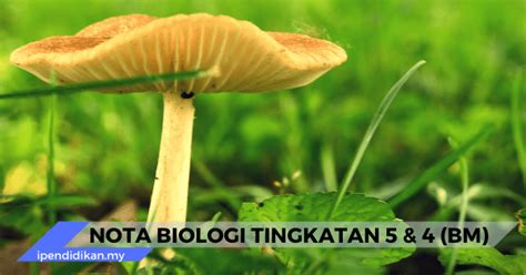 Nota Biologi SPM Tingkatan 5 & 4 (Dalam Bahasa Melayu)
