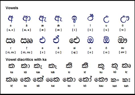 Translate 150 English Words To Sinhala By Shyamila Fiverr