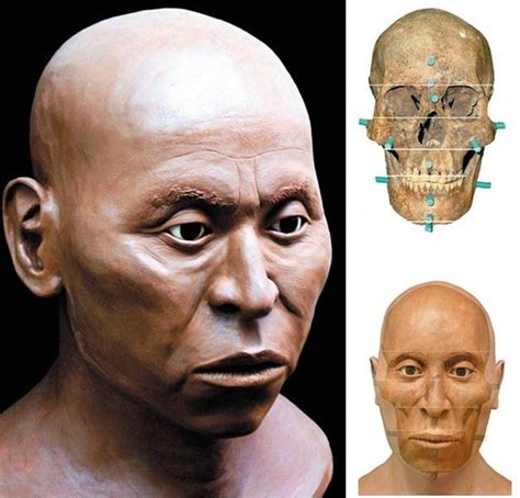 Facial Reconstructions Of Ancient Americans Forensic Facial Reconstruction Reconstruction