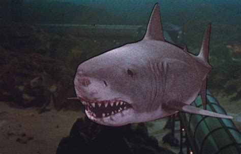 Image Great White Shark From Jaws Iii Animal Villains Wiki