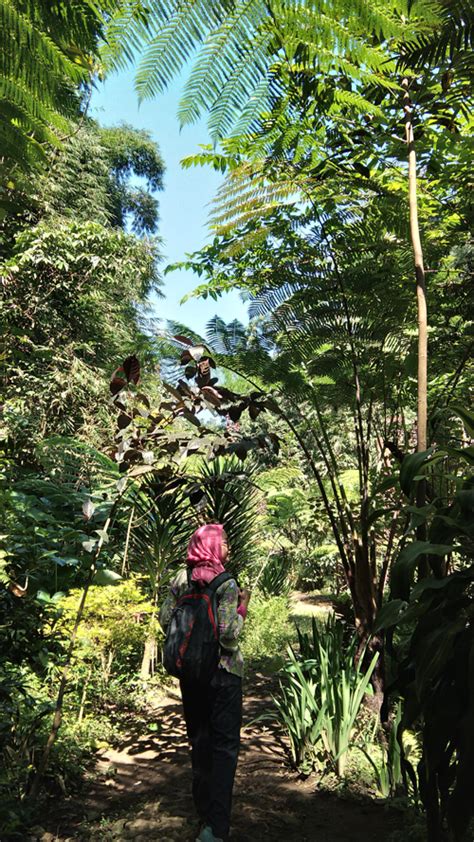 Perjalanan indah ke coban siuk #cobansiuk #cobanjahe. Coban Siuk Buka Jam Brapa : 130 Tempat Wisata Di Malang ...