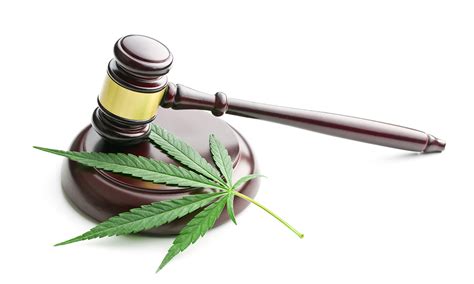 California Cannabis Laws 2020 Herbivore