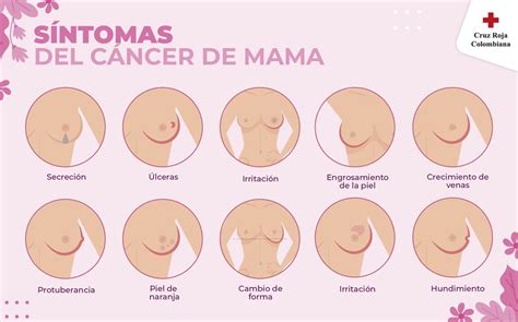 cruzrojacol on Twitter Detectar el Cáncer de mama está en tus manos