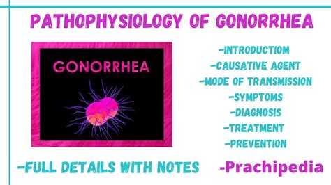 Pathophysiology Of Gonorrhea Pathophysiology Youtube