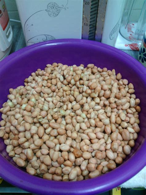 Masukkan bumbu yang telah dihaluskan rendam tempe ke dalam adonan tepung selama beberapa menit kemudian goreng dengan api sedang hingga berwarna kuning keemasan. GerobokUmmiFiyya: Resipi: Kacang Goreng Rangup a.k.a ...