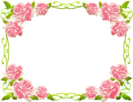 Kumpulan gambar dan foto bunga dengan kualitas hd. Inspiration 10+ Bunga Bingkai Undangan, Terbaru!