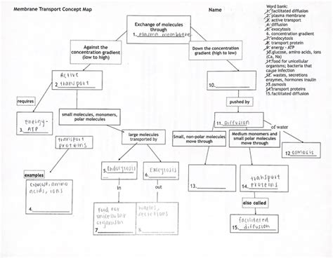 Membrane Transport Concept Map Time Zones Map