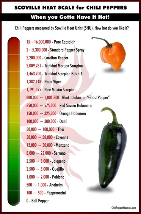 Dried Chile Peppers The Spice Agent