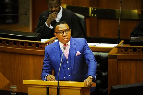 Mduduzi Manana Resigns From Government But Is Still An Mp City Press