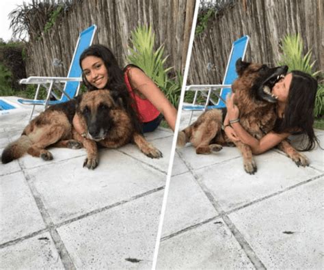 Intenta Hacer Selfie Con Su Perro Pero Es Atacada