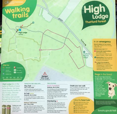 High Lodge Thetford Forest Walking Trail Map Forestry Commission