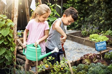 Best Kids Gardening Spots Including Childrens Gardens