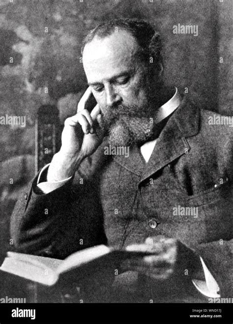 William James 1842 1910 Filósofo Y Psicólogo Fotografía De Stock Alamy