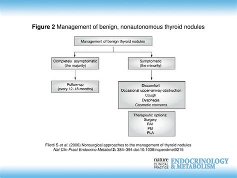 Ppt Filetti S Et Al 2006 Nonsurgical Approaches To The Management