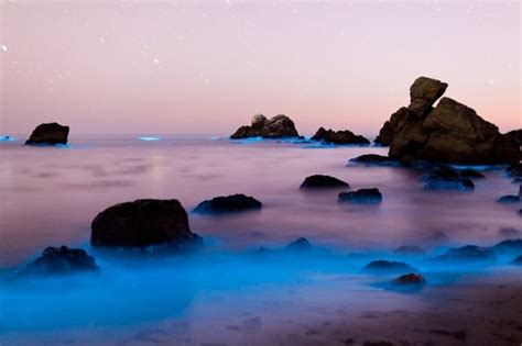 Magnificent And Breathtaking Blue Waves That Glow At Night