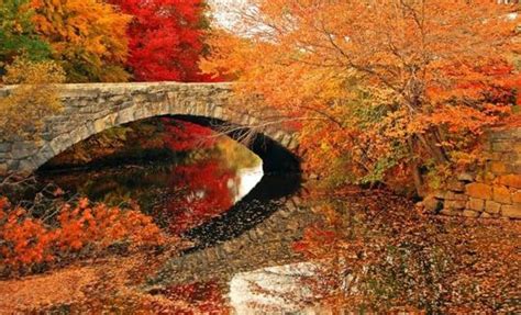 Stone Bridge Autumn Leavs Fall Color Nature Seasons Pinterest