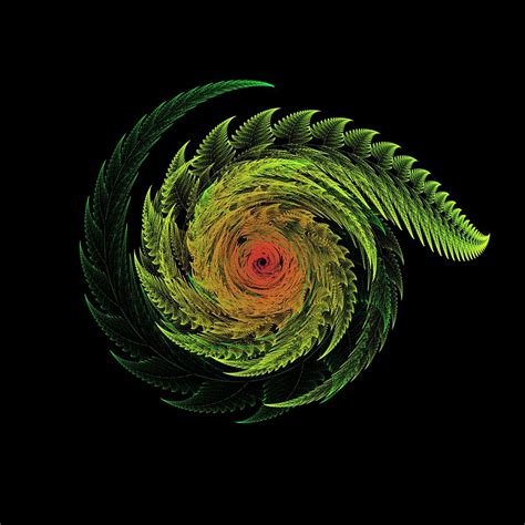 Fern Swirl Digital Art By Thomas Pendock Pixels