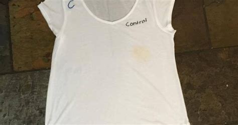 Science Blog Stain Remover Experiment