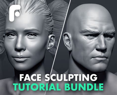 Face Sculpting Bundle Flippednormals