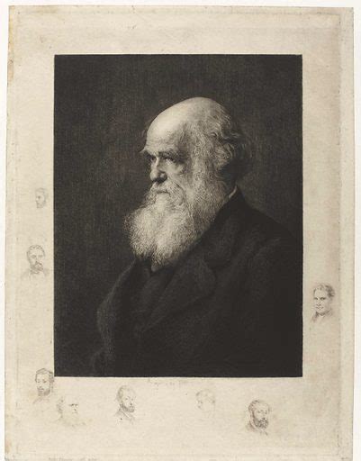 Portrait Of Charles Darwin Free Public Domain Image Look And Learn