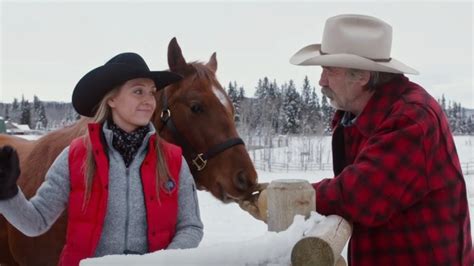 heartland season 15 streaming automasites