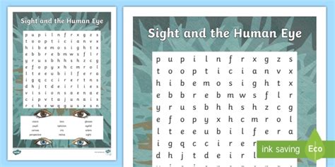 Sight And The Human Eye Keywords Word Search Teacher Made