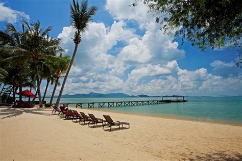 It is only a hundred meters from the white sand and the light blue sea of the famous patong beach, just a short walk to all kinds of entertainment that people from all around world come to enjoy and will make your. THE VILLAGE COCONUT ISLAND BEACH RESORT $73 ($̶9̶8̶ ...