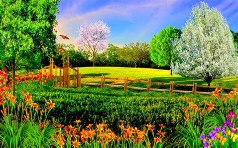 Download Colorful Flower Grass Park Nature Spring Hd Wallpaper