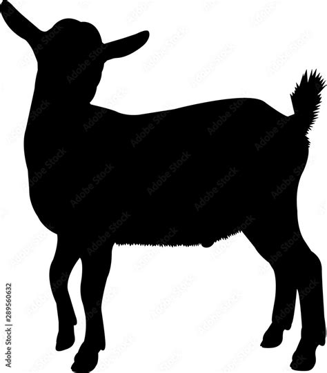 Pygmy Goat Vector Silhouette Stock Vector Adobe Stock