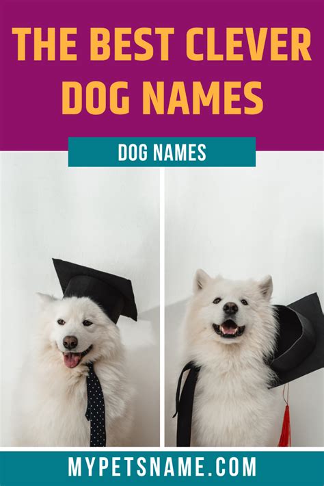 Best Clever Dog Names Clever Dog Clever Dog Names Dog Names