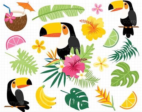Tropical Toucans Clipart Svg By Myclipartstore On Creativemarket