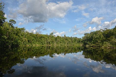 Rios da Floresta Nacional de Caxiuanã Belém Pará Flickr
