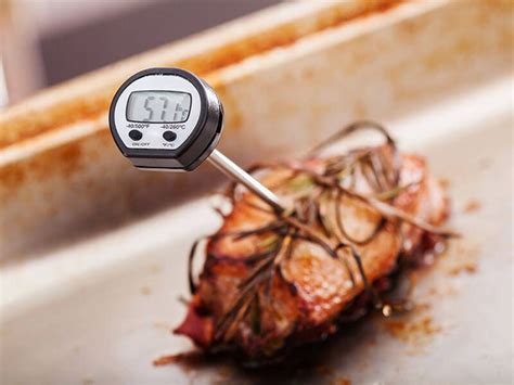 Top 11 Best Wireless Meat Thermometers To Buy In 2023