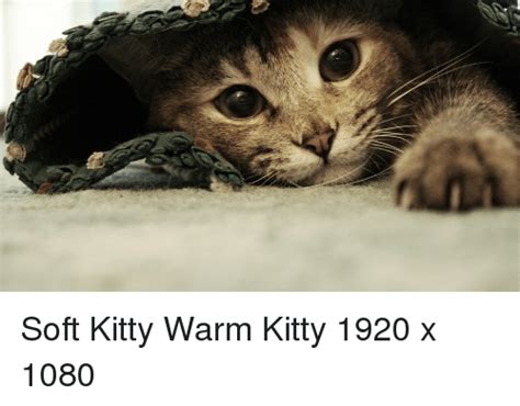 Soft Kitty Warm Kitty 1920 X 1080 Kitty Meme On Sizzle
