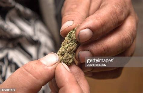 local grower photos and premium high res pictures getty images