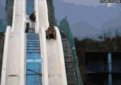 Pool Fail Gif By Cheezburger Find Share On Giphy