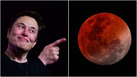 Dünyaca ünlü girişimcinin çılgın projesine dair bir zaman çizelgesi de mevcut. Elon Musk's 'Moon Mix-Up' Was Actually an Epic Bezos Troll