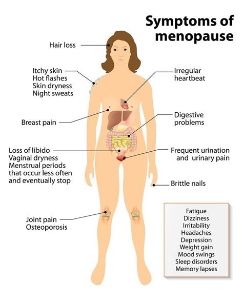 Pin On Coping With Menopause