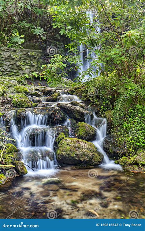 Small Waterfalls In A Dense Forest Stock Image Image Of Nature