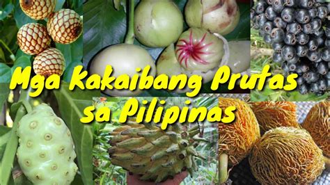 Mga Ibat Ibang Uri Ng Prutas Sa Pilipinas
