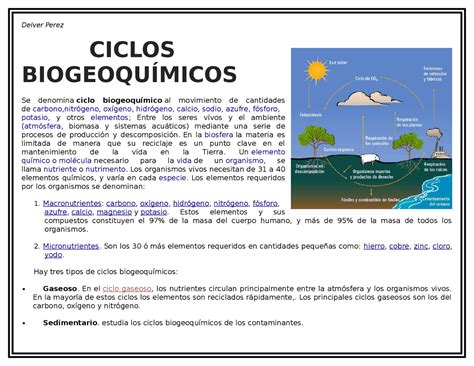 Ciclos Biogeoquimicos Docsity