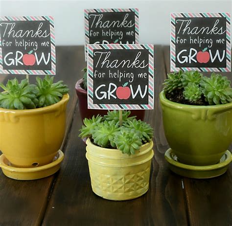 A Succulent Plant With A Printable Label Thanks For Helping Me Grow