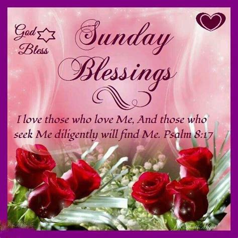 Sunday Blessings Sunday Sunday Quotes Blessed Sunday Sunday Blessings