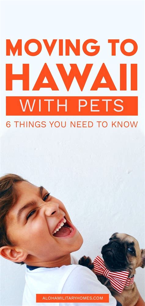 Pcsing To Hawaii With Pets 6 Things You Need To Know If You Are Moving